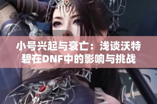 小号兴起与衰亡：浅谈沃特碧在DNF中的影响与挑战