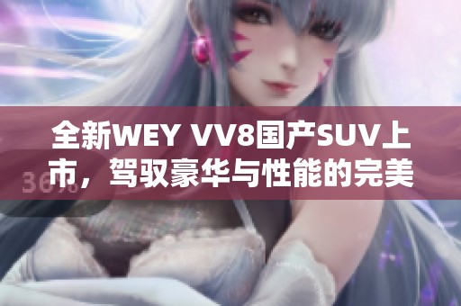 全新WEY VV8国产SUV上市，驾驭豪华与性能的完美结合