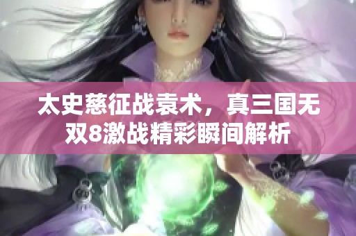 太史慈征战袁术，真三国无双8激战精彩瞬间解析