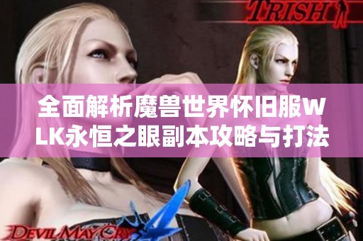 全面解析魔兽世界怀旧服WLK永恒之眼副本攻略与打法技巧