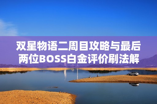 双星物语二周目攻略与最后两位BOSS白金评价刷法解析