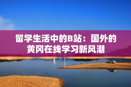 留学生活中的B站：国外的黄冈在线学习新风潮