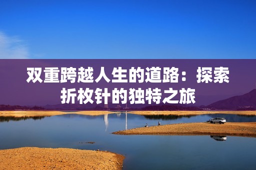 双重跨越人生的道路：探索折枚针的独特之旅