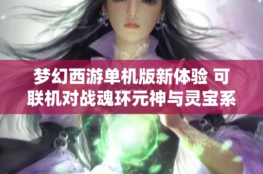 梦幻西游单机版新体验 可联机对战魂环元神与灵宝系统探索