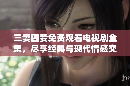 三妻四妾免费观看电视剧全集，尽享经典与现代情感交融之作