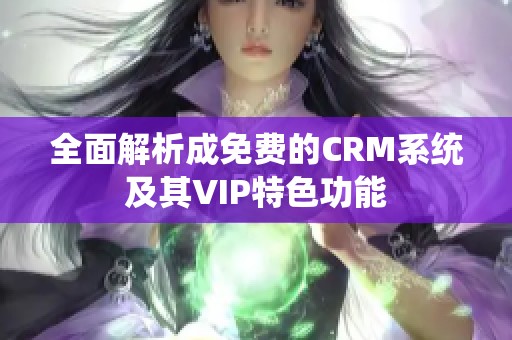 全面解析成免费的CRM系统及其VIP特色功能