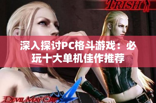 深入探讨PC格斗游戏：必玩十大单机佳作推荐