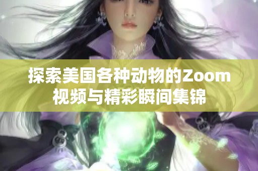 探索美国各种动物的Zoom视频与精彩瞬间集锦