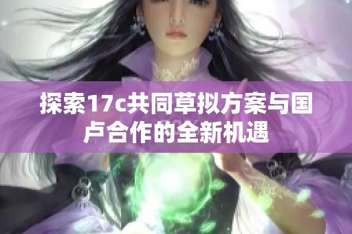 探索17c共同草拟方案与国卢合作的全新机遇