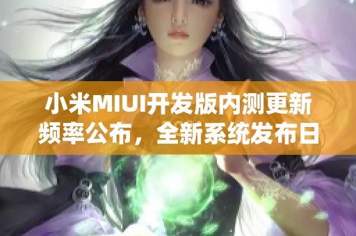 小米MIUI开发版内测更新频率公布，全新系统发布日期揭秘