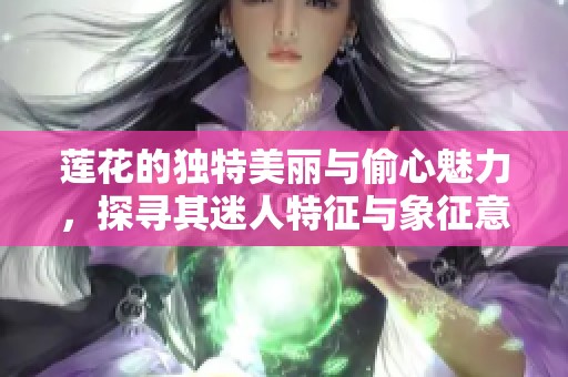 莲花的独特美丽与偷心魅力，探寻其迷人特征与象征意义