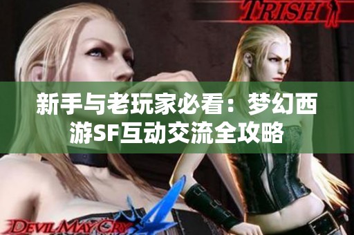 新手与老玩家必看：梦幻西游SF互动交流全攻略