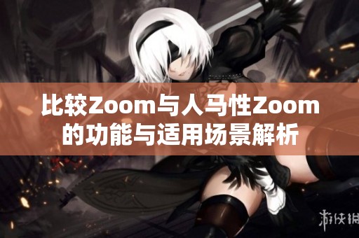 比较Zoom与人马性Zoom的功能与适用场景解析