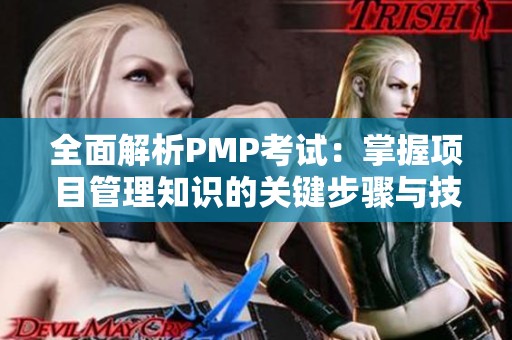 全面解析PMP考试：掌握项目管理知识的关键步骤与技巧