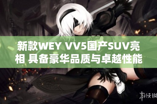 新款WEY VV5国产SUV亮相 具备豪华品质与卓越性能