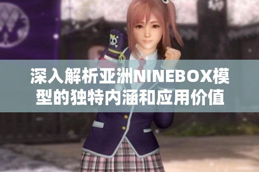 深入解析亚洲NINEBOX模型的独特内涵和应用价值