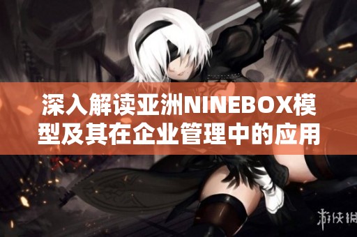 深入解读亚洲NINEBOX模型及其在企业管理中的应用价值