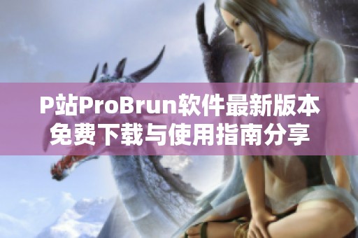 P站ProBrun软件最新版本免费下载与使用指南分享