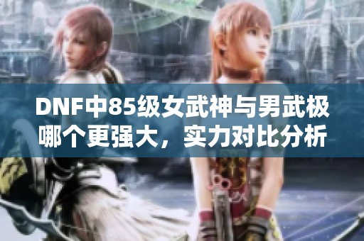 DNF中85级女武神与男武极哪个更强大，实力对比分析