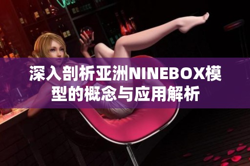 深入剖析亚洲NINEBOX模型的概念与应用解析