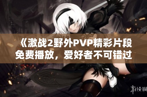 《激战2野外PVP精彩片段免费播放，爱好者不可错过的视觉盛宴》