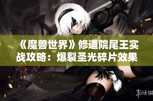 《魔兽世界》修道院尾王实战攻略：爆裂圣光碎片效果解析