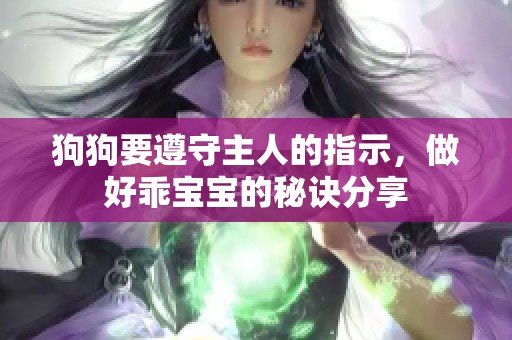 狗狗要遵守主人的指示，做好乖宝宝的秘诀分享