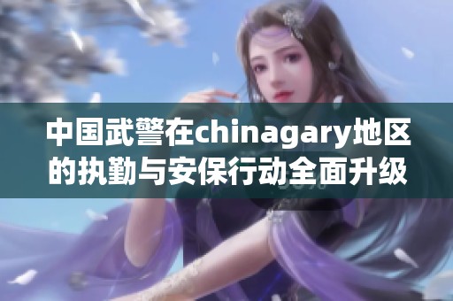 中国武警在chinagary地区的执勤与安保行动全面升级