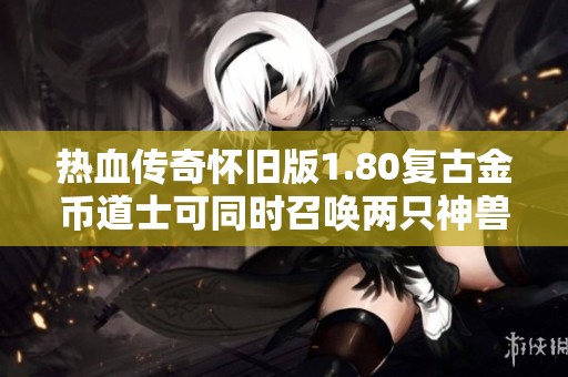 热血传奇怀旧版1.80复古金币道士可同时召唤两只神兽作战