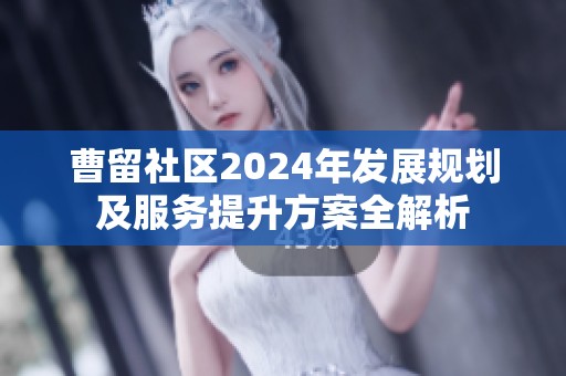 曹留社区2024年发展规划及服务提升方案全解析