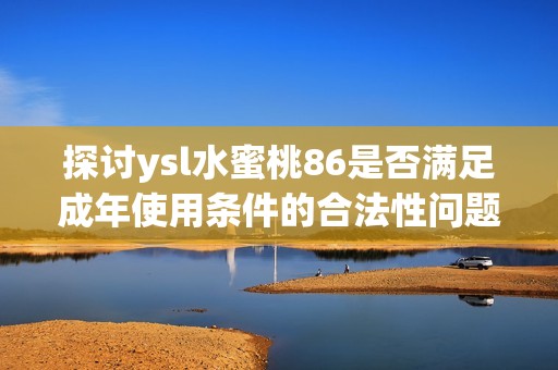 探讨ysl水蜜桃86是否满足成年使用条件的合法性问题