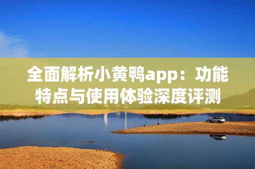 全面解析小黄鸭app：功能特点与使用体验深度评测