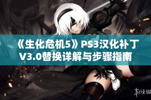 《生化危机5》PS3汉化补丁V3.0替换详解与步骤指南