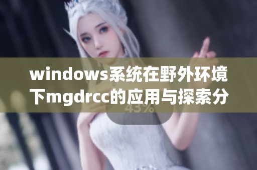 windows系统在野外环境下mgdrcc的应用与探索分析