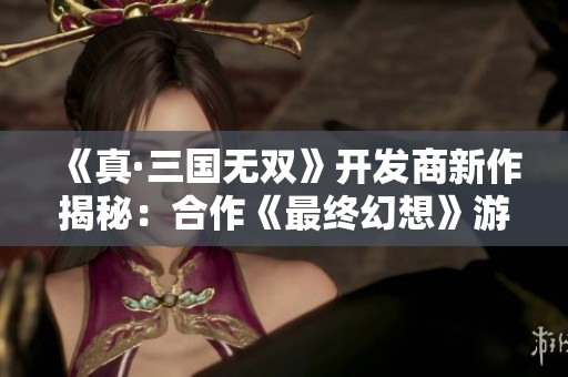 《真·三国无双》开发商新作揭秘：合作《最终幻想》游戏细节曝光