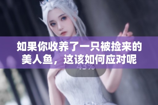 如果你收养了一只被捡来的美人鱼，这该如何应对呢