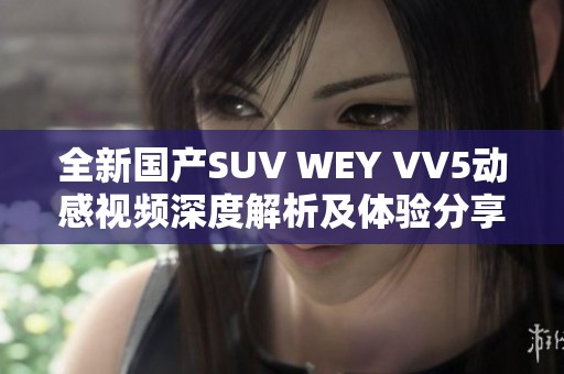 全新国产SUV WEY VV5动感视频深度解析及体验分享