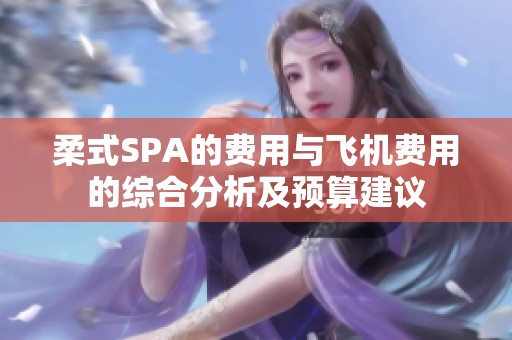 柔式SPA的费用与飞机费用的综合分析及预算建议