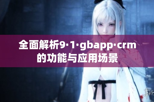 全面解析9·1·gbapp·crm的功能与应用场景