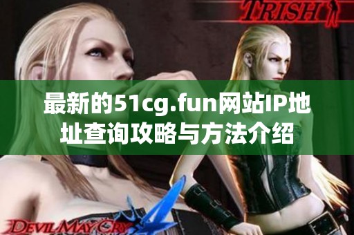 最新的51cg.fun网站IP地址查询攻略与方法介绍