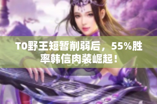 T0野王短暂削弱后，55%胜率韩信肉装崛起！