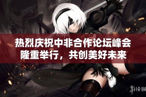 热烈庆祝中非合作论坛峰会隆重举行，共创美好未来