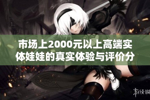 市场上2000元以上高端实体娃娃的真实体验与评价分析