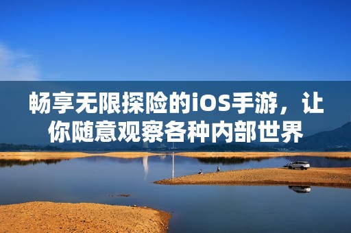 畅享无限探险的iOS手游，让你随意观察各种内部世界