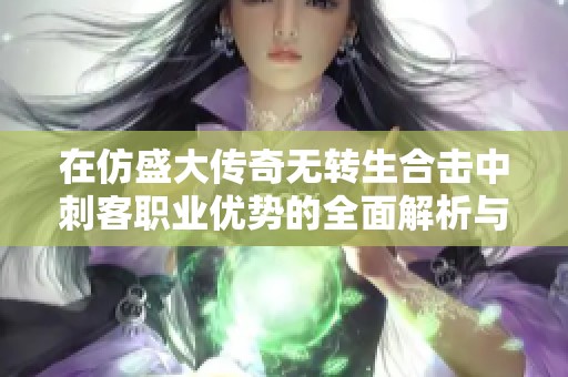 在仿盛大传奇无转生合击中刺客职业优势的全面解析与运用技巧