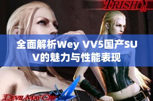 全面解析Wey VV5国产SUV的魅力与性能表现