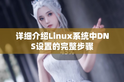 详细介绍Linux系统中DNS设置的完整步骤