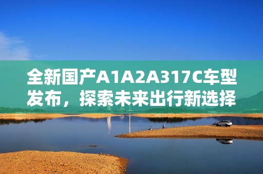 全新国产A1A2A317C车型发布，探索未来出行新选择