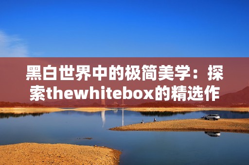 黑白世界中的极简美学：探索thewhitebox的精选作品