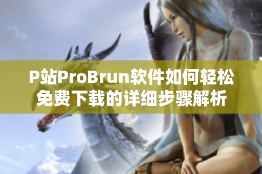 P站ProBrun软件如何轻松免费下载的详细步骤解析